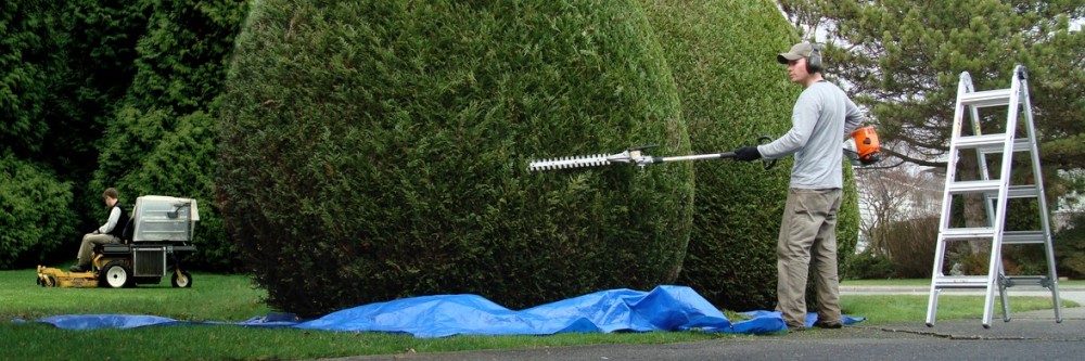 Garden Services Franchises and Business Opportunities