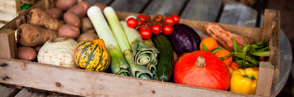 Organic Shop Franchises Organic Shop Franchise Opportunity